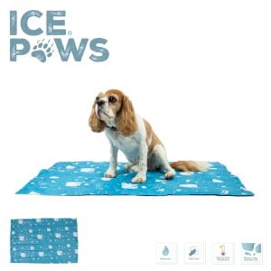 Ice Paws Cooling Mat Ancol