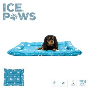 Ice Paws Cooling Bed