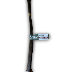 Giant Bully Stick