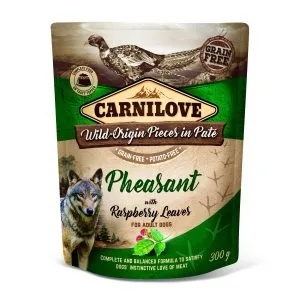Pheasant with Raspberry Leaves