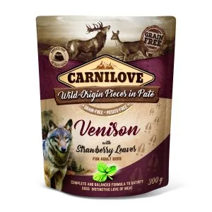 Venison with Strawberry Leaves