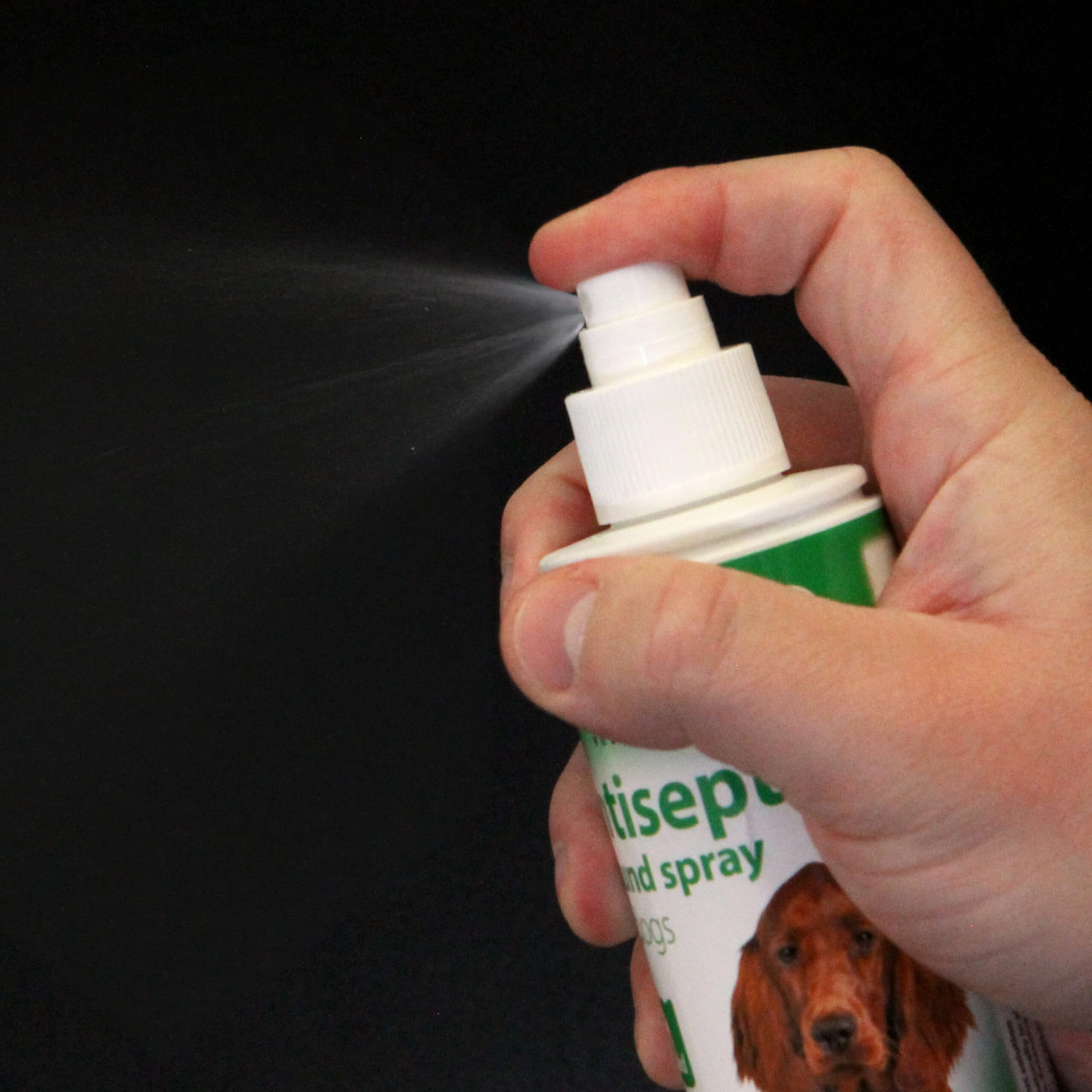 Antiseptic Wound Spray for Dogs - Image 4